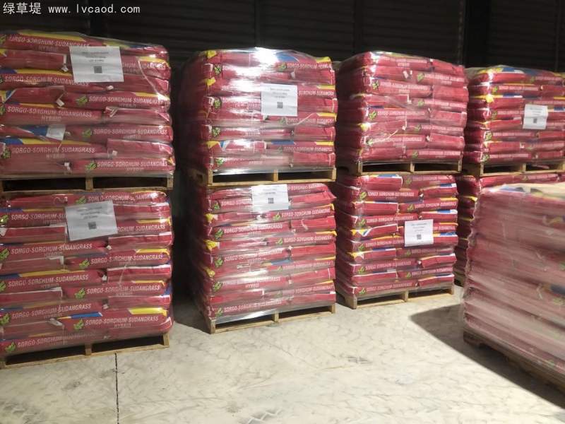 高丹草種子包裝 高丹草種子包裝