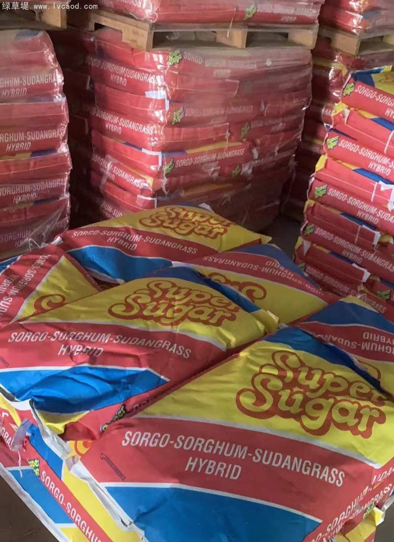 高丹草種子包裝 高丹草種子包裝