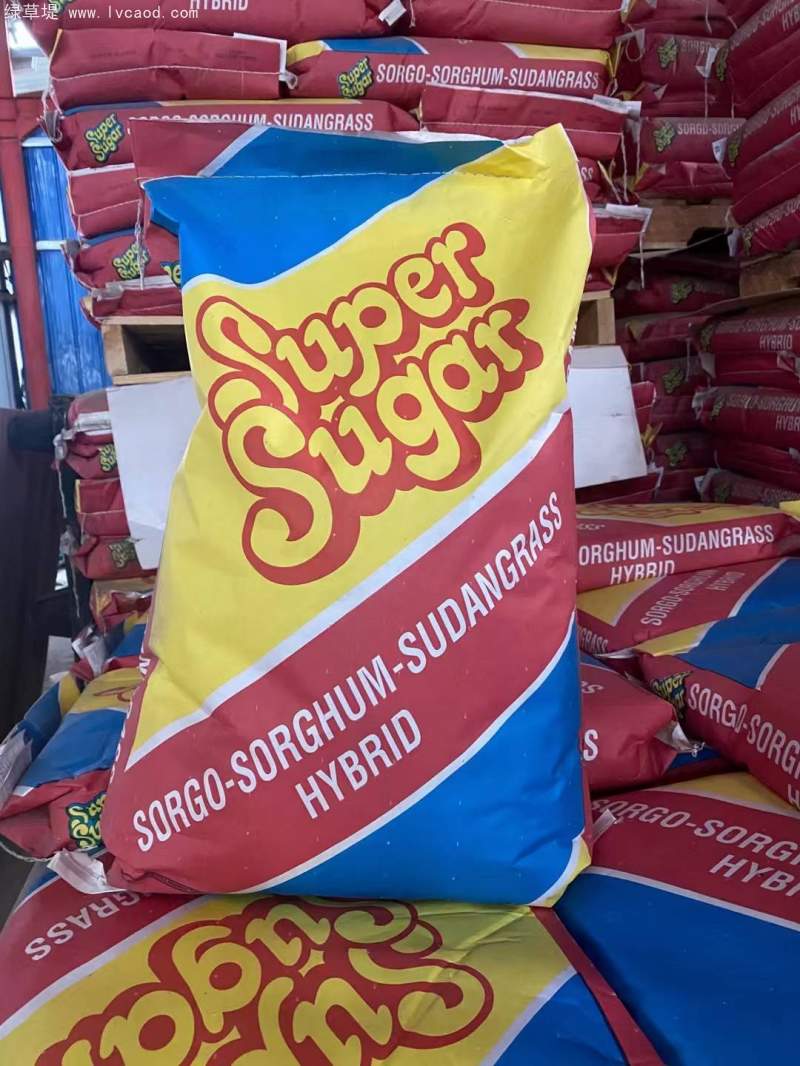 高丹草種子包裝 高丹草種子包裝