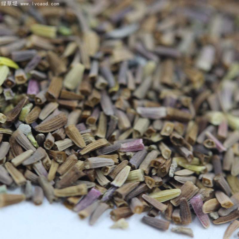 黃金菊種子 黃金菊種子