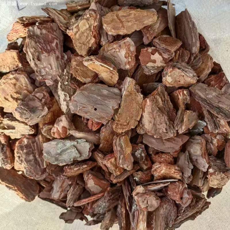 松鱗松樹皮有機覆蓋物