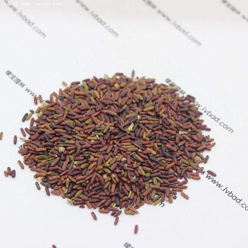 小冠花種子 小冠花種子