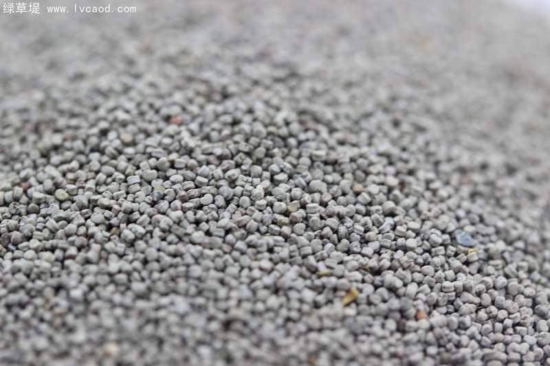 雪輪花種子 雪輪花種子